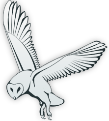 جـواد شریفیـان